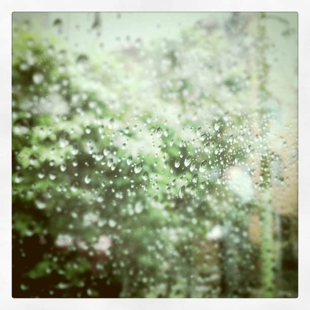 のインスタグラム：「Rain sucks」