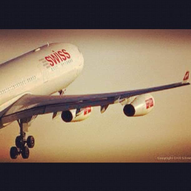 スイス航空さんのインスタグラム写真 - (スイス航空Instagram)「Our A340-300 #Swiss #A340 #Airbus #Fly #Airplane #LX #TakeOff #Switzerland #Love」6月8日 21時28分 - swissairlines