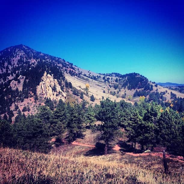 Rachel Ryleのインスタグラム：「First tree to Fall. #boulder」