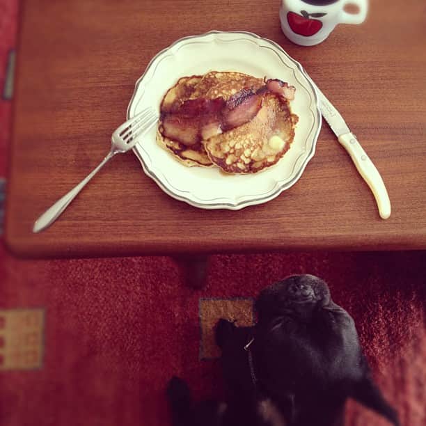 小堀紀代美さんのインスタグラム写真 - (小堀紀代美Instagram)「上手に焼けなかったパンケーキと、どいてくれないモアナ。」11月7日 11時02分 - likelikekitchen