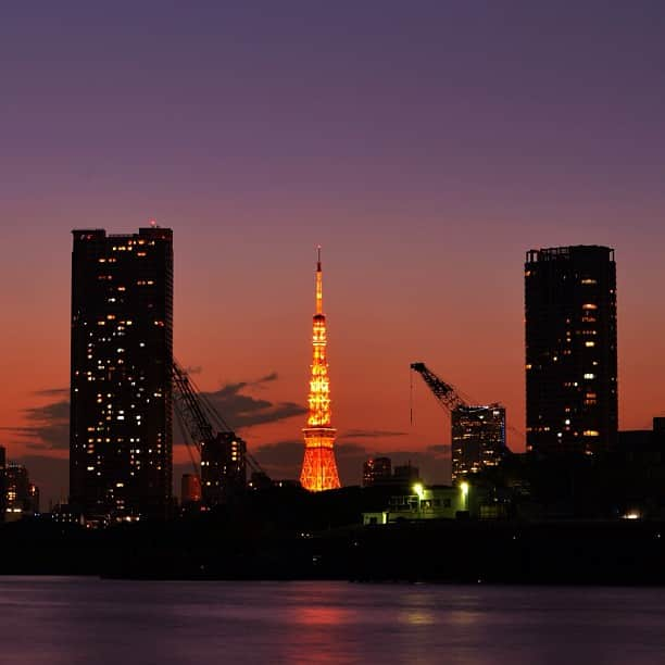 坂口綾優さんのインスタグラム写真 - (坂口綾優Instagram)「#tokyotower」11月24日 23時38分 - sakaguchiaya