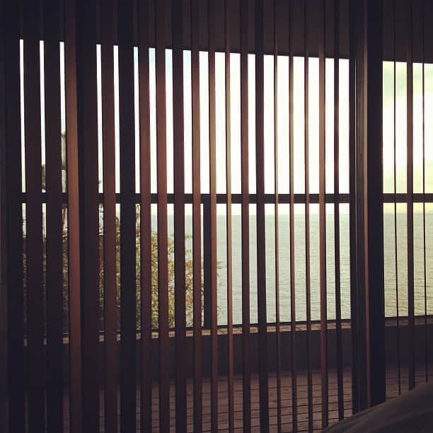 小堀紀代美さんのインスタグラム写真 - (小堀紀代美Instagram)「ベッドの中から」1月7日 7時49分 - likelikekitchen