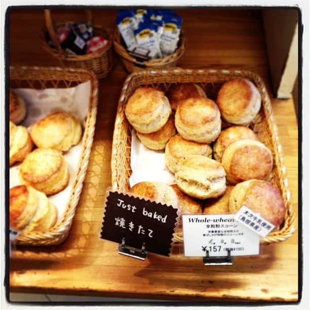 小堀紀代美さんのインスタグラム写真 - (小堀紀代美Instagram)「jast baked!  全粒粉スコーン買ってみた。」1月22日 15時23分 - likelikekitchen
