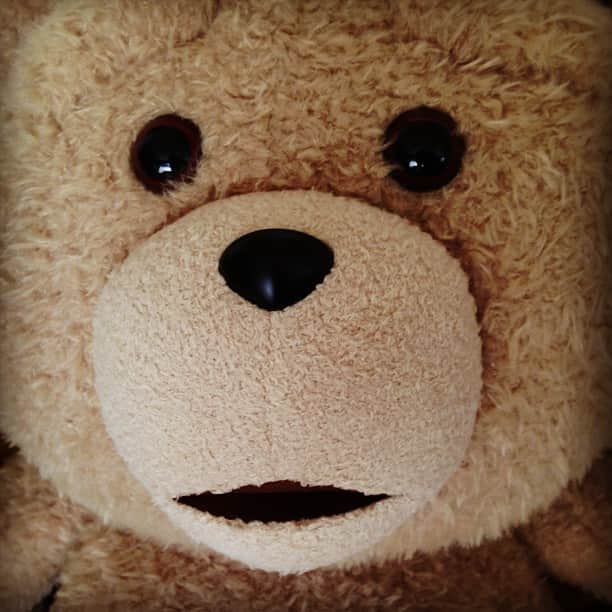 白雪のインスタグラム：「うちに来た♡ #Ted #myfriend #テッド好きすぎてつらい」