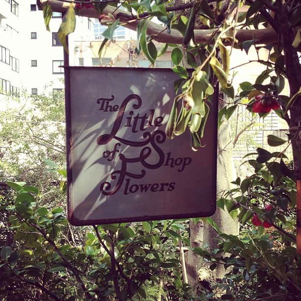 西田善太のグルメインスタ