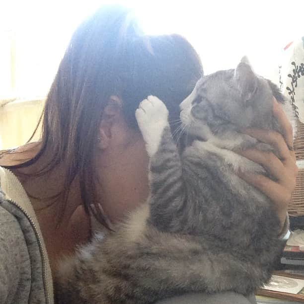 坂本美雨さんのインスタグラム写真 - (坂本美雨Instagram)「ネコの正しい吸い方。  #cat #ネコ吸い #サバ美」5月5日 0時15分 - miu_sakamoto
