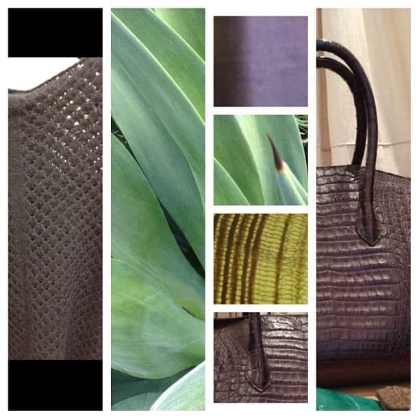 ジャルボさんのインスタグラム写真 - (ジャルボInstagram)「#jarbo #jarbocollection #fashion #bag #crocodile #style #sanmarino #bellevue #brentwood #birmingham #newportbeach #madisonvalley #beverlyhills #fashion #handbag」5月12日 8時36分 - house2401