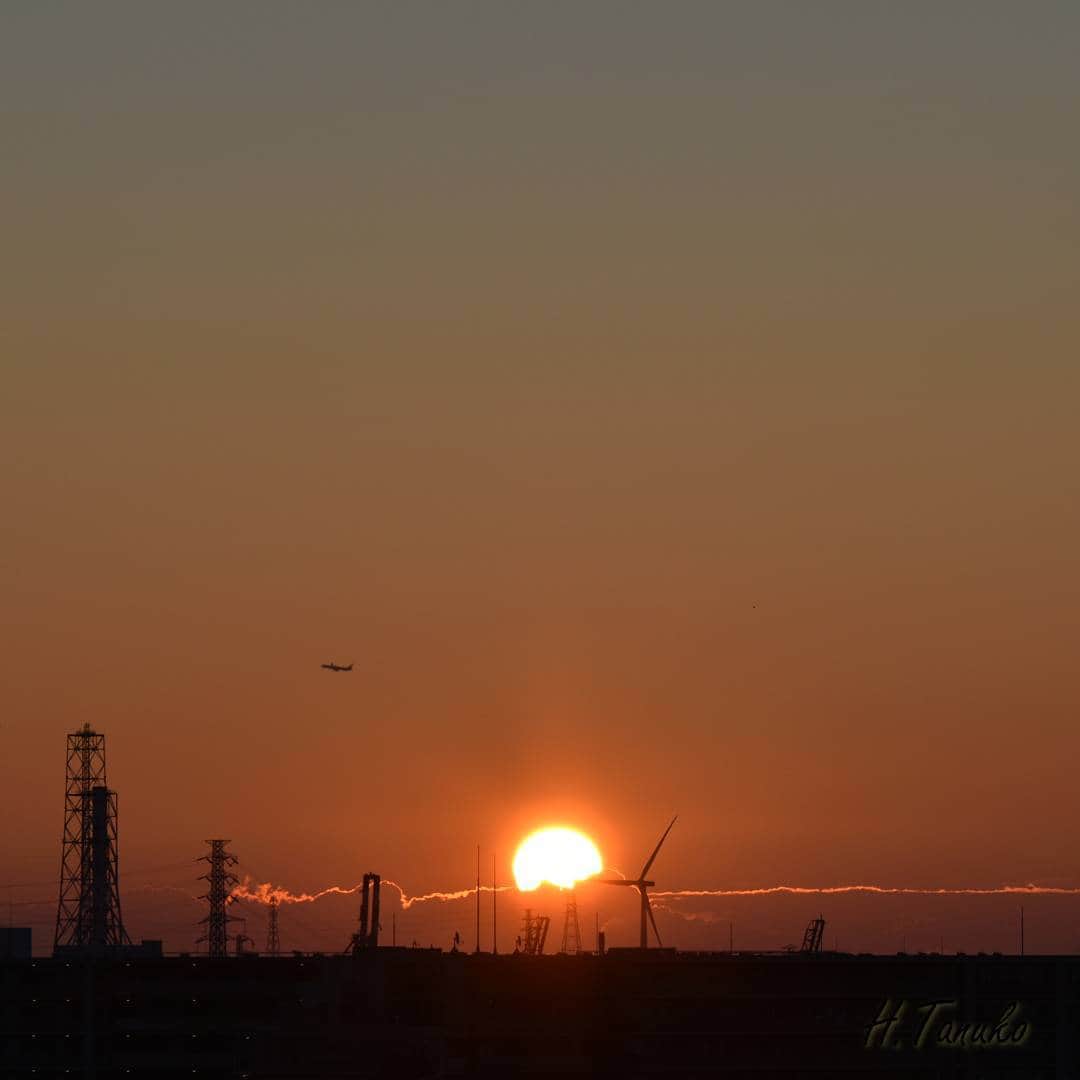 たぬこのインスタグラム：「﻿HAPPY NEW YEAR! The first sunrise of 2016. location: Kanagawa, Japan」