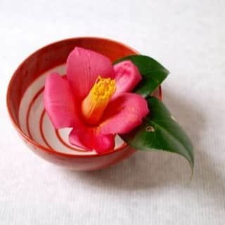 Afternoon Teaさんのインスタグラム写真 - (Afternoon TeaInstagram)「フラワーアーティスト、CHAJINさんによるフォトエッセイ「ホッとひと活け」。今回はボウルに一厘椿の花を。新年のテーブルを小粋に愉しむCHAJINさんならでは花あしらいを、ぜひご覧ください。 http://bit.ly/1PrGjdF #CHAJIN #花活け#花あしらい  #AfternoonTea #アフタヌーンティー」12月28日 19時05分 - afternoontea_official
