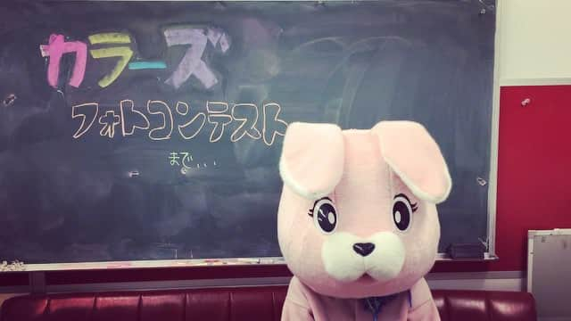 原宿カラーズのインスタグラム：「★高校生! ファッショニスタ甲子園★  いよいよ明日！！！！ とうとう明日！！！！ ハッシュタグ、 #ファッショニスタ甲子園 をつけてとっておきのカラフルコーデを投稿してね♫  今日カウントダウンしてくれたのは……… #ファッショニスタ甲子園  #いよいよ明日  #原宿カラーズ」