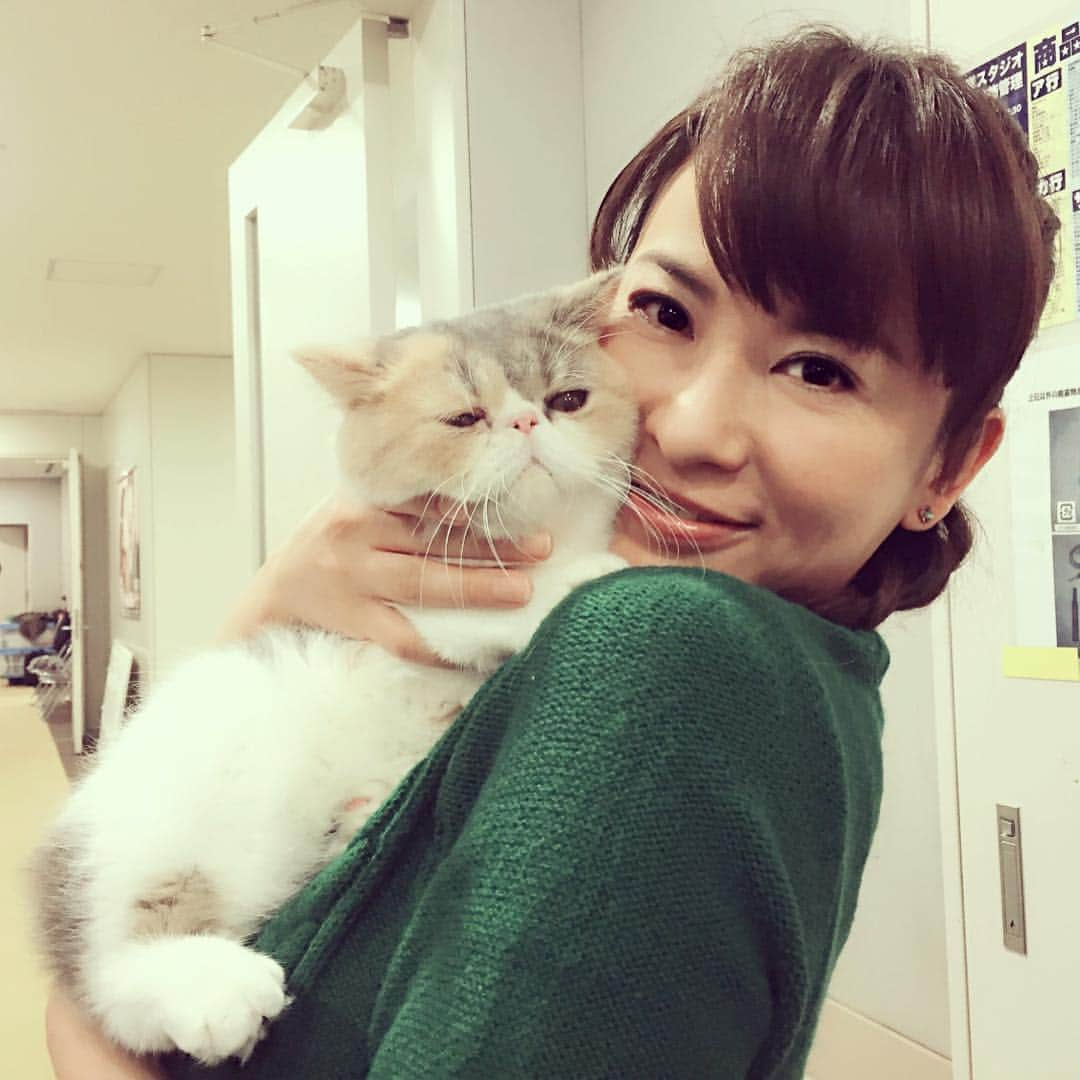 鈴木砂羽さんのインスタグラム写真 - (鈴木砂羽Instagram)「「ちくわ」とももうすぐお別れ、、、（涙） 最終回の足音が聞こえてきました、、、。 オトナ女子第9話、まもなくです！！ #オトナ女子 #木曜22時 #フジテレビ #エキゾチックショートヘア #猫部 #猫バカ #ちくわ #ちくわはめっちゃ軽い」12月10日 21時45分 - bombon_sawa