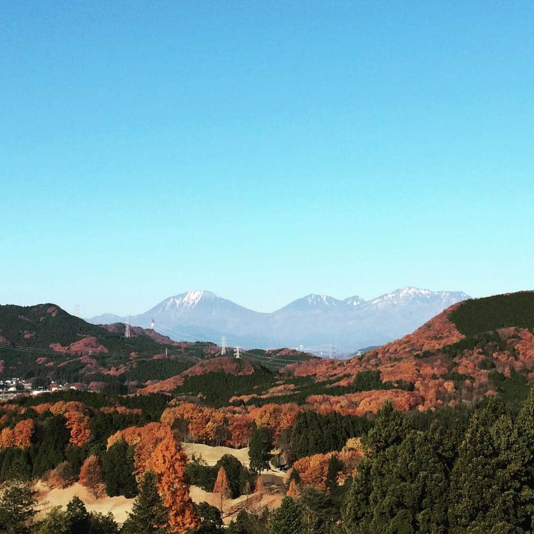 脇阪寿一のグルメインスタ