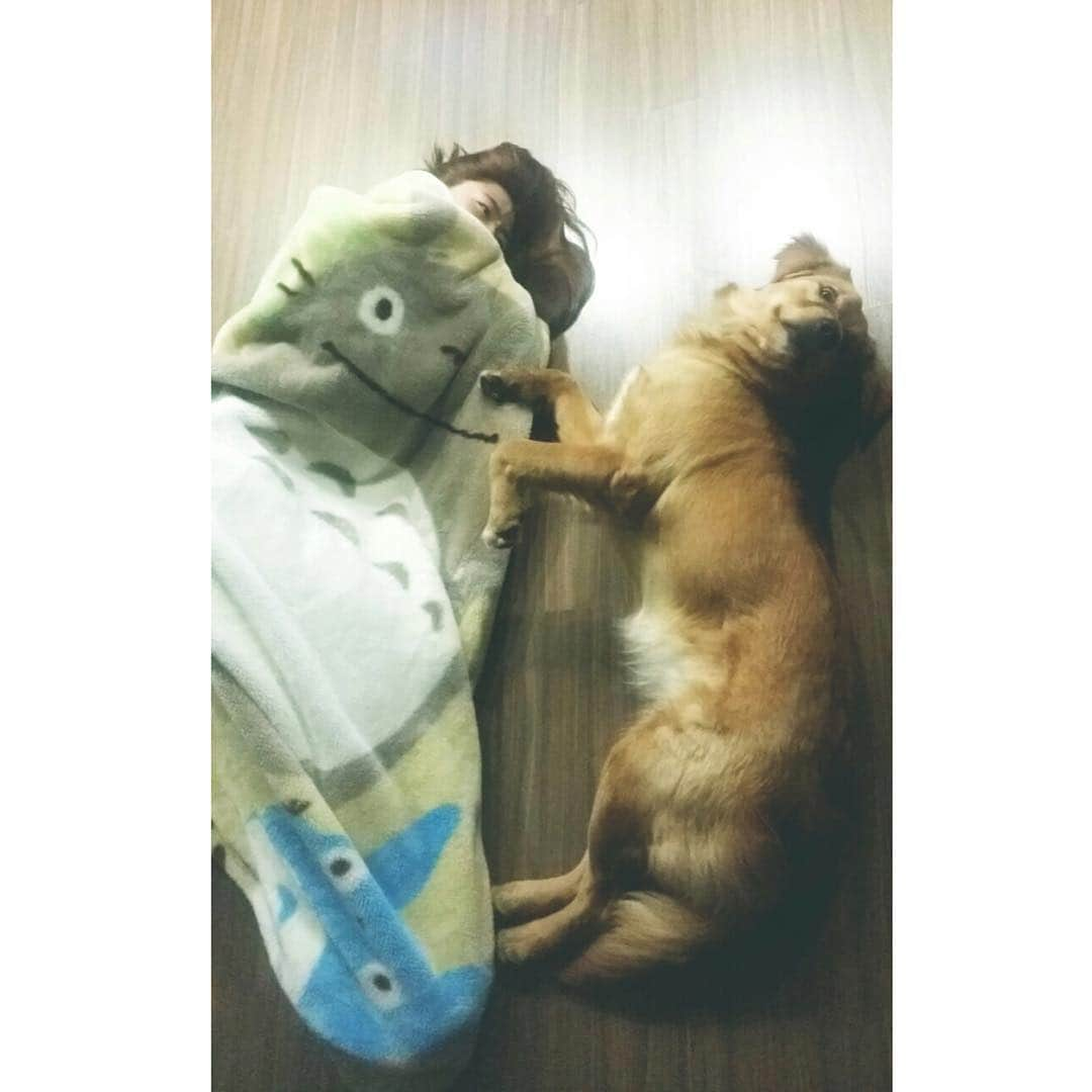 イ・サンファさんのインスタグラム写真 - (イ・サンファInstagram)「Home!!!!sweet home!!!with Pika😴🐾 #골든리트리버」12月15日 22時36分 - sanghwazz