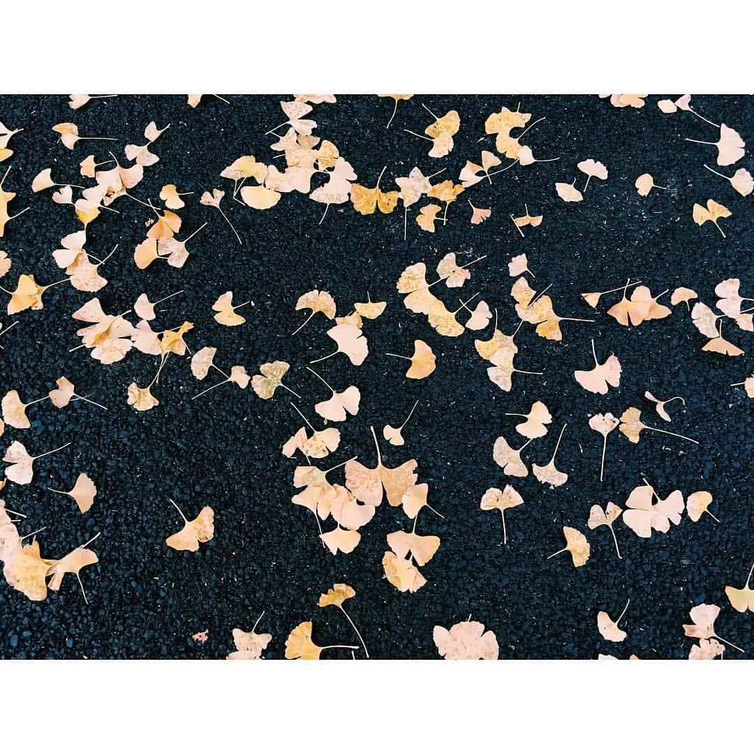 玉城ティナさんのインスタグラム写真 - (玉城ティナInstagram)「季節が落ちてた」12月16日 15時41分 - tinapouty