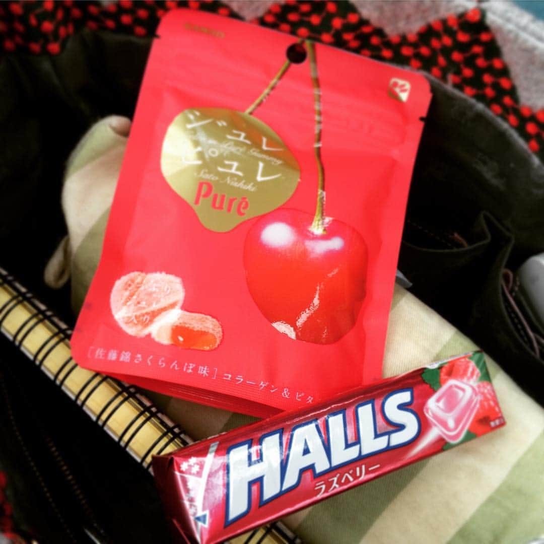 のインスタグラム：「うまぁい！と思った瞬間店頭から消えてたさくらんぼグミ発見。ホールズも大好き味やー」