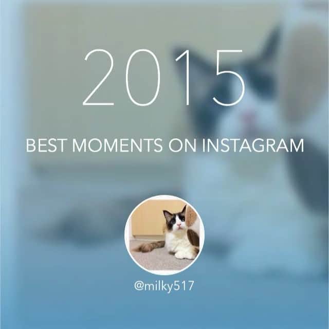Natsukiのインスタグラム：「そういえば、2015年のまとめ(笑) しらすまみれの2015だったようです(*´艸`*)」