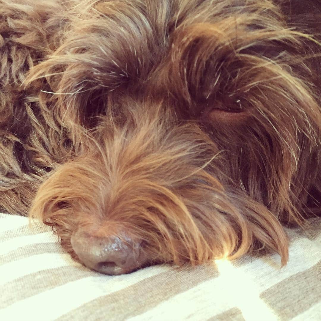 のインスタグラム：「明けましておめでとうございます❣️」