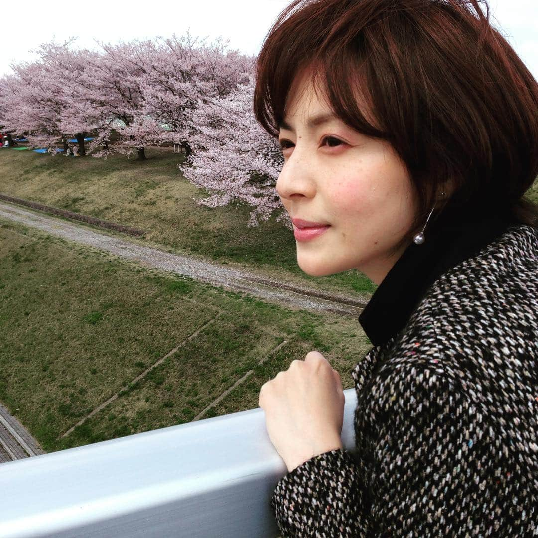 木内晶子さんのインスタグラム写真 - (木内晶子Instagram)「#木内晶子  #うどん県  #actress  #小林澄枝写真家」12月18日 15時54分 - akiko0902kinouchi