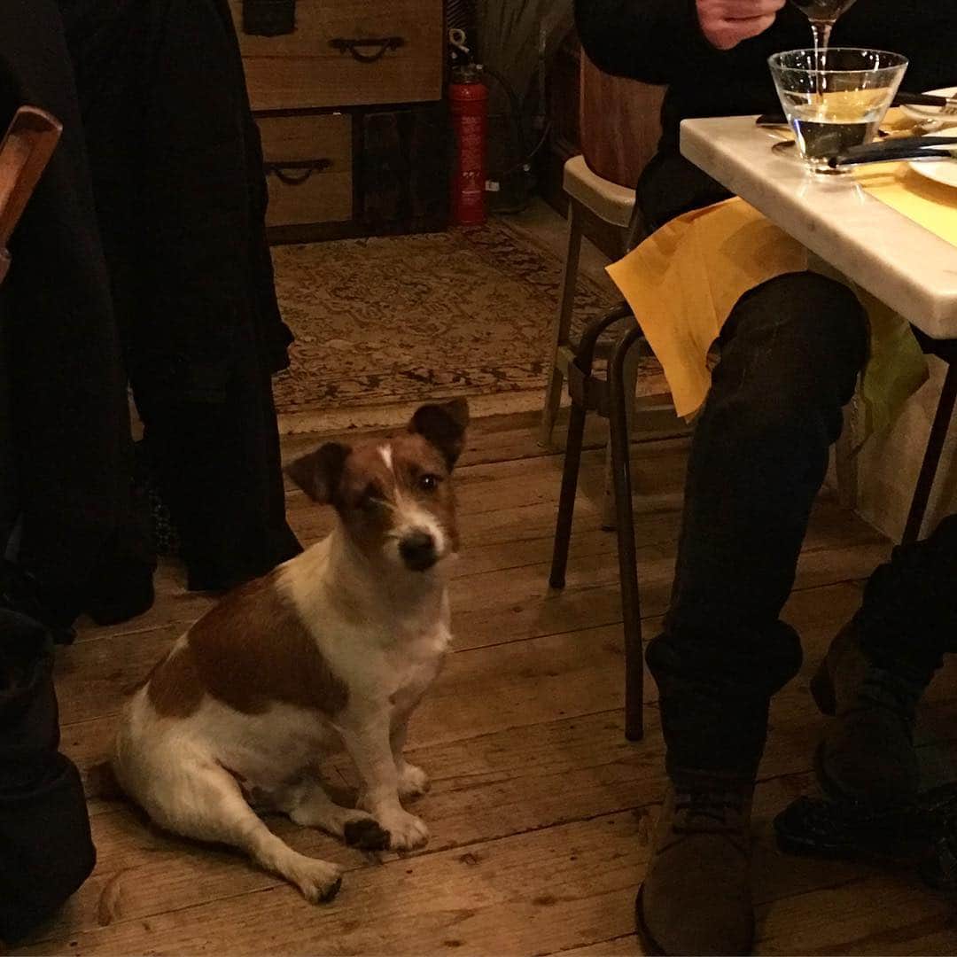 小堀紀代美さんのインスタグラム写真 - (小堀紀代美Instagram)「「スプーンでおやつ」が無事に発売になって、今夜は打ち上げ。 看板犬のいるどこか外国っぽい雰囲気のあるお店です。」12月18日 21時32分 - likelikekitchen
