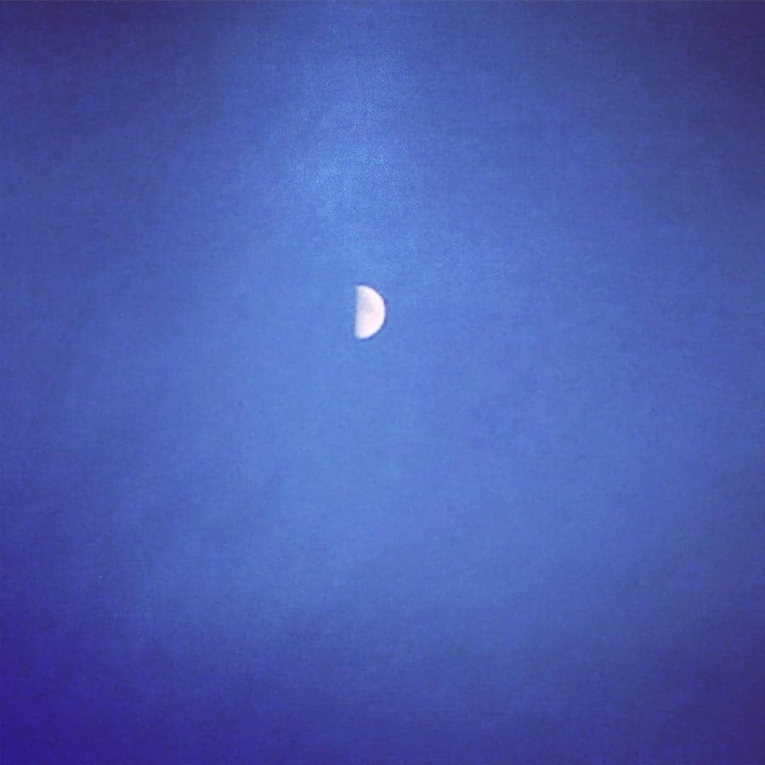 白石小百合さんのインスタグラム写真 - (白石小百合Instagram)「青空に映える上弦の月 #sky#moon」12月19日 16時49分 - sayurishirais