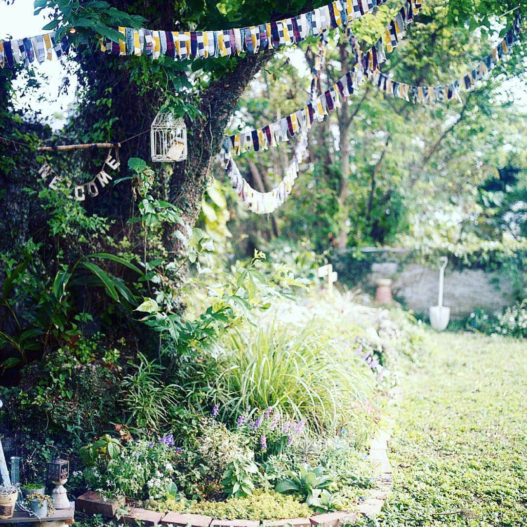 ゆうゆのグルメインスタ