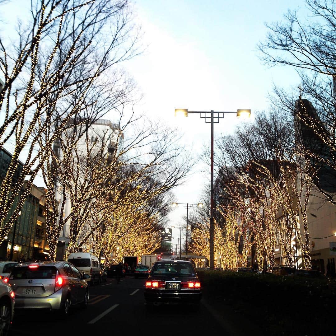 志摩有子さんのインスタグラム写真 - (志摩有子Instagram)「ラルフローレンに打ち合わせに来たために、計らずしも表参道のイルミネーション点灯時間に遭遇。あっというまに渋滞が始まったので早く脱出しないと😱💨💨 みなさま、素敵なクリスマスを🎄🎅♥️ #Xmas #eve #Merry_Xmas #Happy_holiday #表参道 #イルミネーション」12月24日 16時55分 - ariko418
