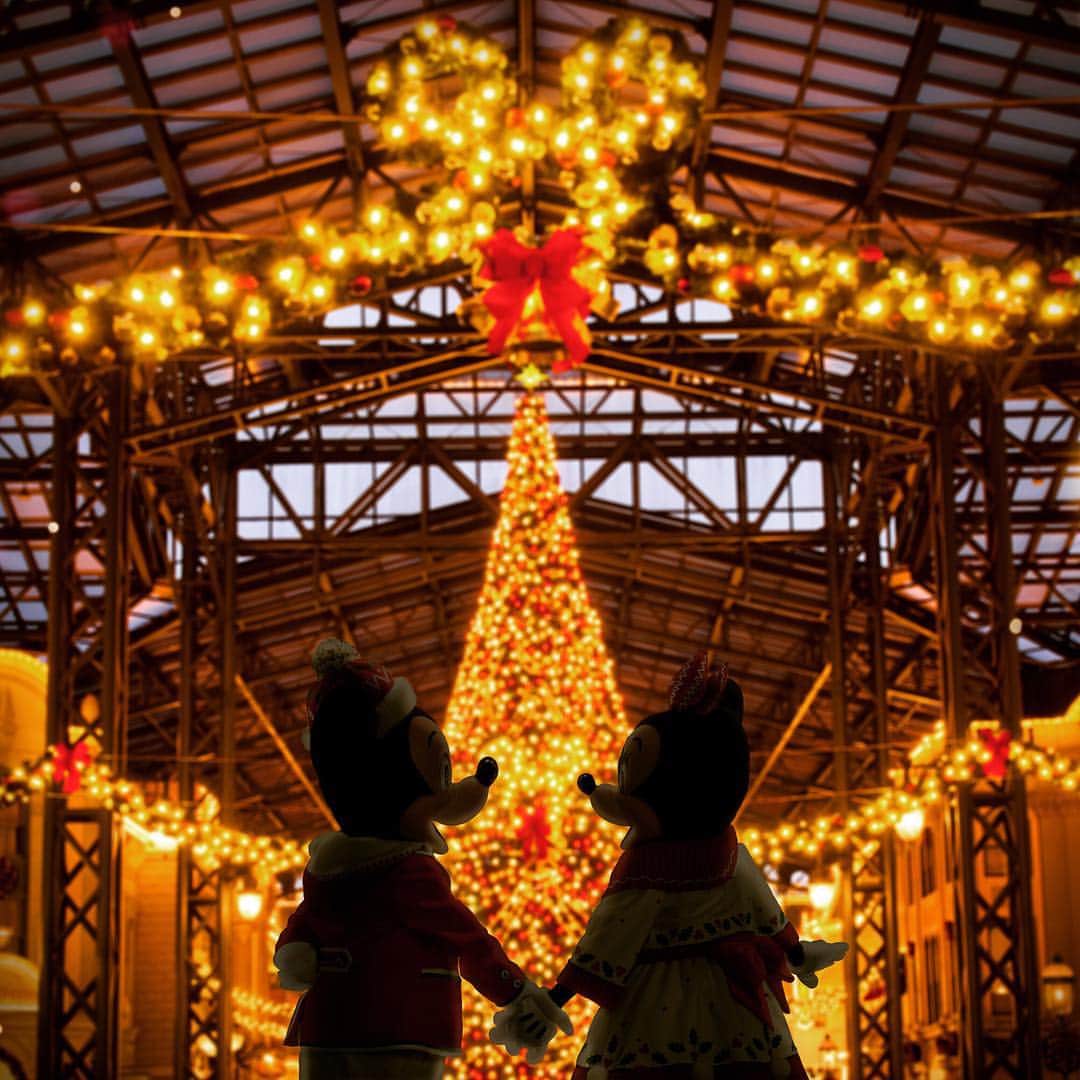 東京ディズニーリゾートのインスタグラム