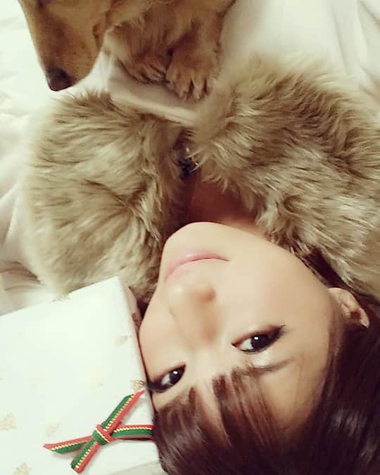 のインスタグラム：「💝🎁🎅お休みなさい🎅🎁💝 いい夢みれそう…✨✨✨」