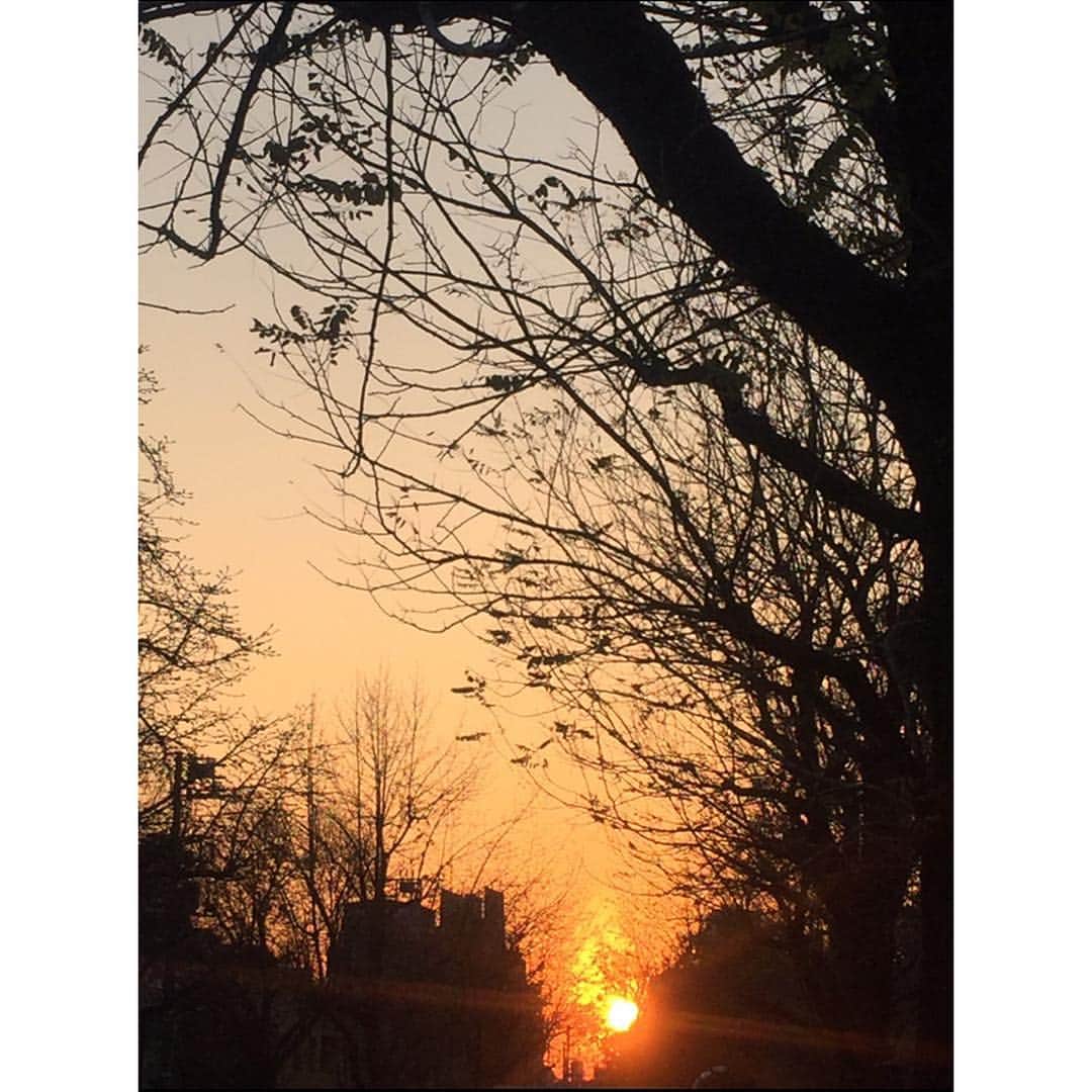 西山真以さんのインスタグラム写真 - (西山真以Instagram)「This year is almost over...🍂⌛️ #nofilter #sunset #december #2015 #japan #tokyo #theendoftheyear」12月28日 0時21分 - mai0830
