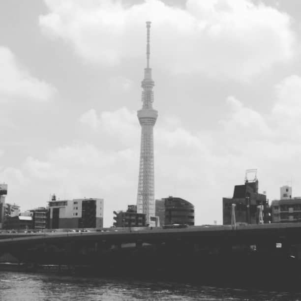 ザ壁のインスタグラム：「🙌 船が通りすぎたらツリー消えます。」