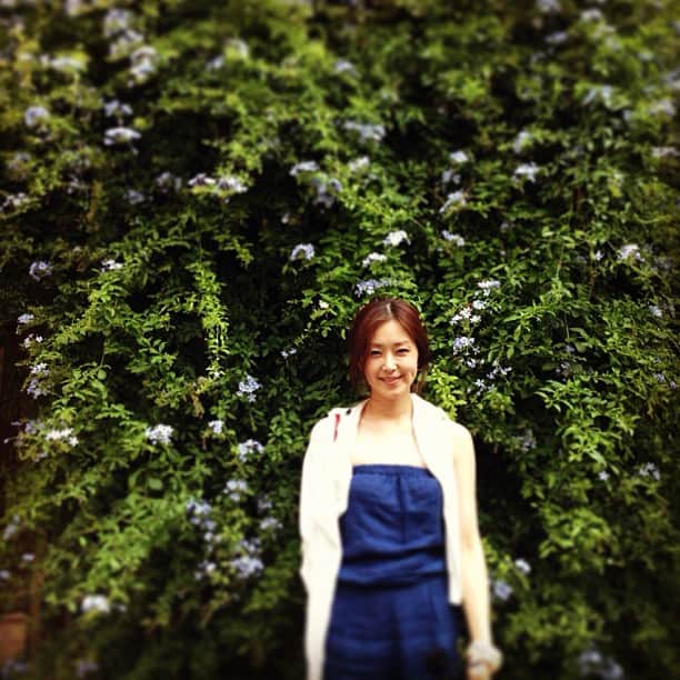 笛木優子のインスタグラム：「꽃이되고싶어 ♡」