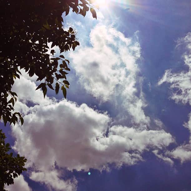 千葉一弘のインスタグラム：「😆☀🇯🇵 #sky #sun #day #sunshine #weather #mobilephotography #streetphotography #instatagapp #statigram #iphonephotography #iphone5only #blue #love #life #nice #world #japan #tokyo #instagood #photooftheday #follow #like #instadaily #tagsforlikes #happy #bestoftheday #live」