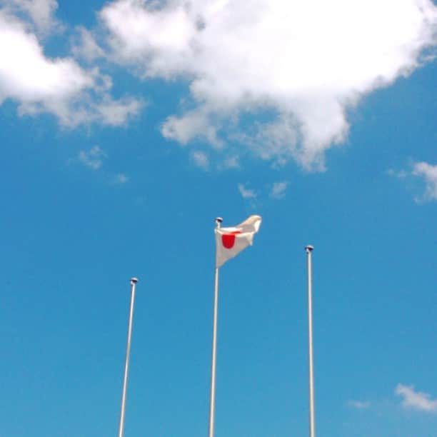 spatulaのインスタグラム：「* 🌻🇯🇵🌻 * 夏来たね～🇯🇵🌻 * …(￣^￣)ゞビゴッ🇯🇵🌻」