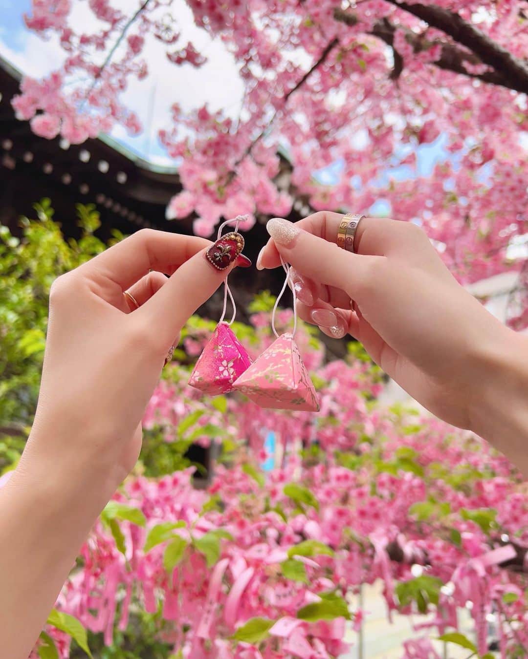 杉山佳那恵さんのインスタグラム写真 - (杉山佳那恵Instagram)「春ですな🌸🌸🌸  #桜神宮#桜」3月18日 17時28分 - kanaxxy_0421