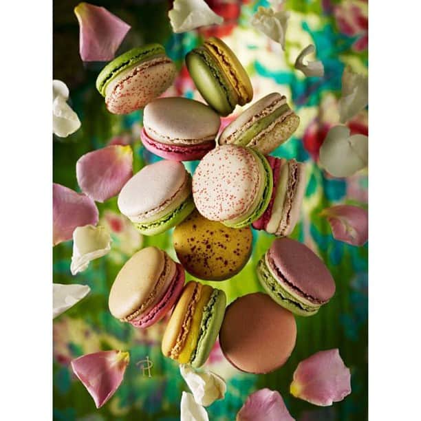 Pierre Hermeのインスタグラム：「Great art is crucial when it comes to dessert. #pierreherme」