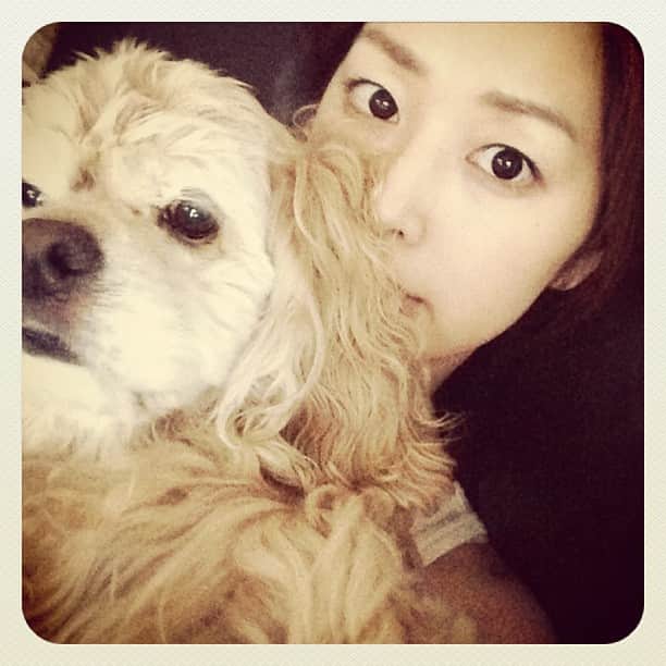 笛木優子のインスタグラム：「💙🐶💙」