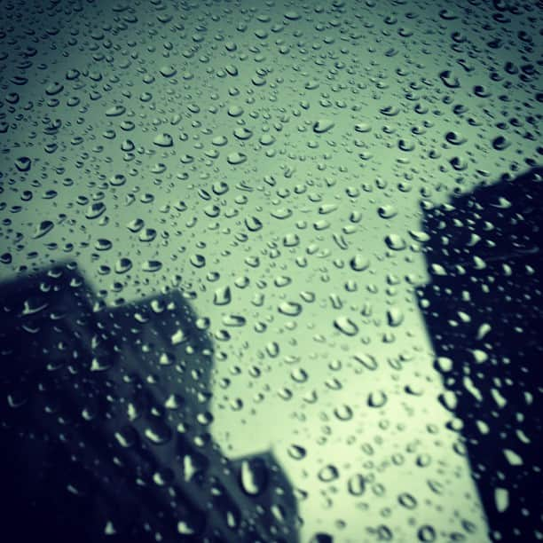 高垣麗子さんのインスタグラム写真 - (高垣麗子Instagram)「こうやってみると、雨の雫ってかわいい。。。」9月26日 8時45分 - reiko_takagaki