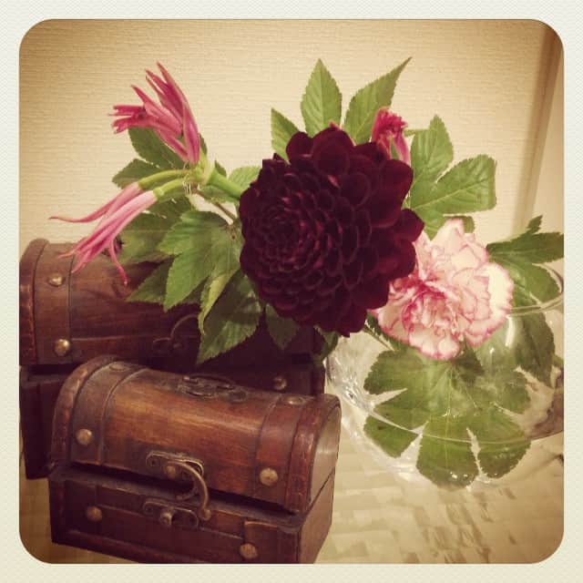 笛木優子のインスタグラム：「悲しいことがあったので、お花を買いました…。」