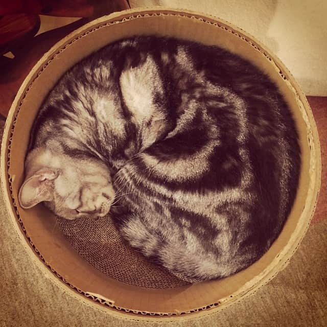 w＠sabiのグルメインスタ