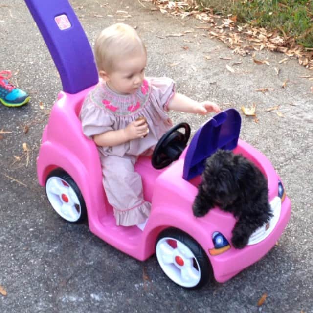 のインスタグラム：「Just a girl and her puppy!」