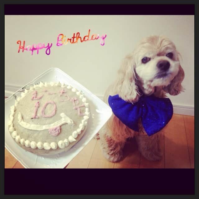 笛木優子のインスタグラム：「11.4HBD😍💕✨」