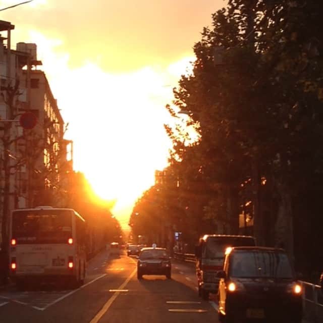 チロのインスタグラム：「日本の夕陽」