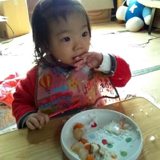 藤田昌代のインスタグラム：「ご飯だよ〜(*´ω｀*)」
