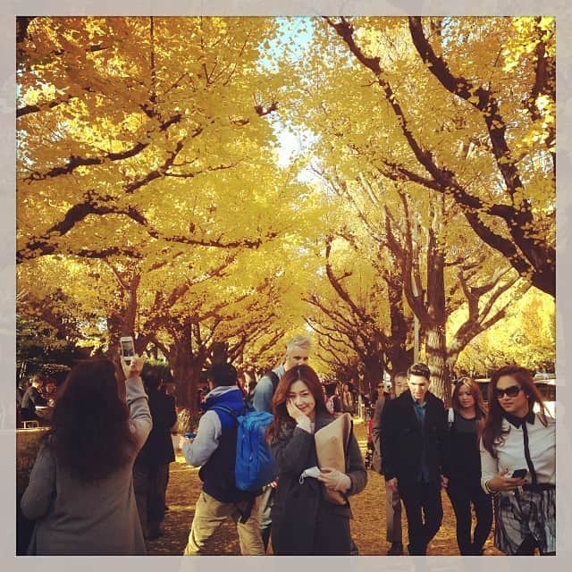 笛木優子のインスタグラム：「紅葉がきれい🍁🍂😙」