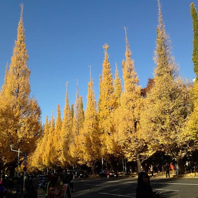笛木優子のグルメインスタ