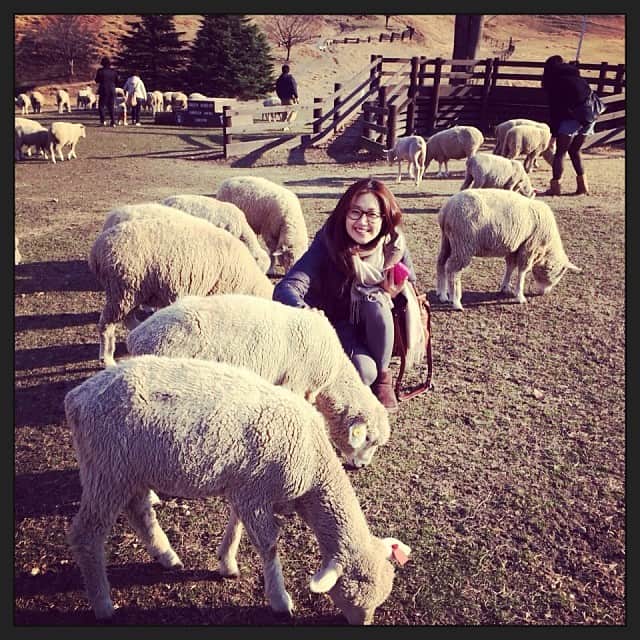 笛木優子のインスタグラム：「양 양 양 난 양띠요 🐑💕」