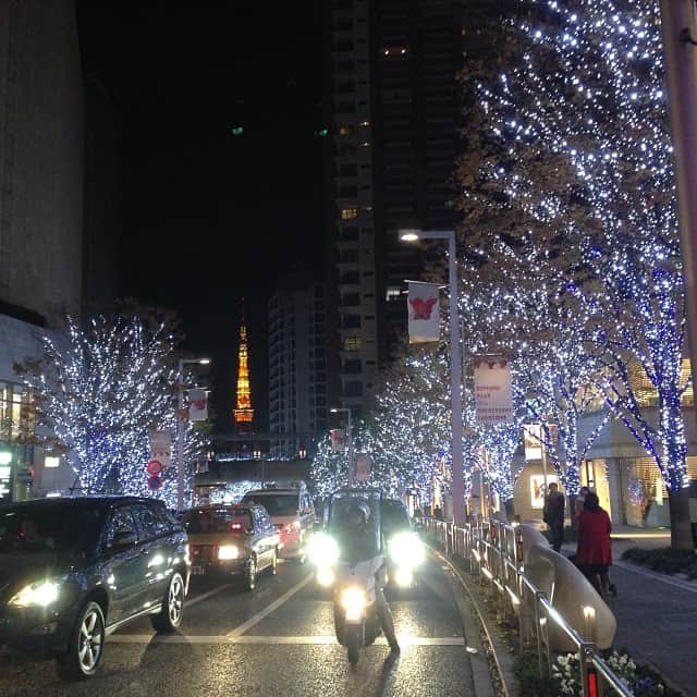 笛木優子のインスタグラム：「六本木イルミネーション🎄✨」