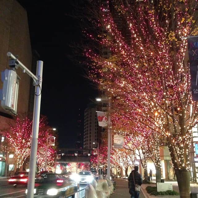 笛木優子のインスタグラム：「色違い🎶🎄✨」