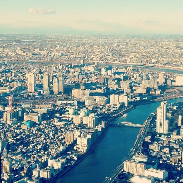 ほな・いこかのインスタグラム：「踏める！」