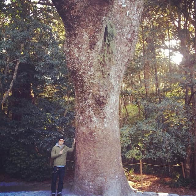 宮城大樹さんのインスタグラム写真 - (宮城大樹Instagram)「大きな木〜大木〜大樹w #大樹 #ダブル大樹 #こいつみたいにデカくなる」1月6日 12時35分 - dykinman